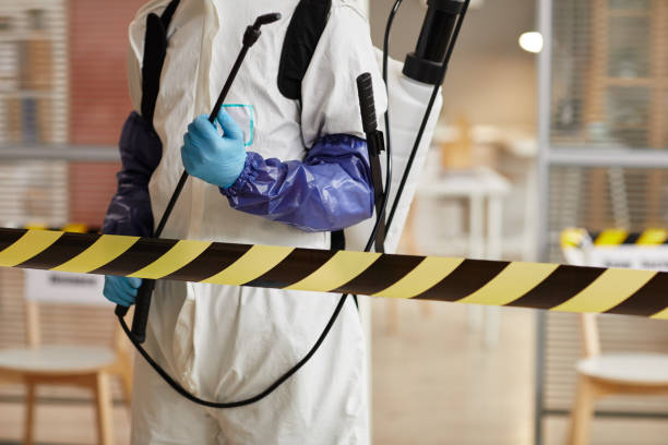 Professional Sewage Cleanup technician working in Springfield, TN